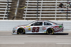 Texas Motor Speedway - NRA 500 by Mike Holloway